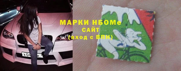 гашик Краснослободск