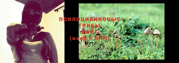 2c-b Куйбышев