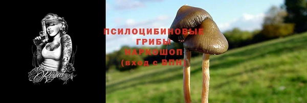 2c-b Куйбышев