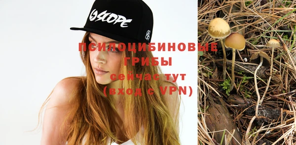 2c-b Куйбышев