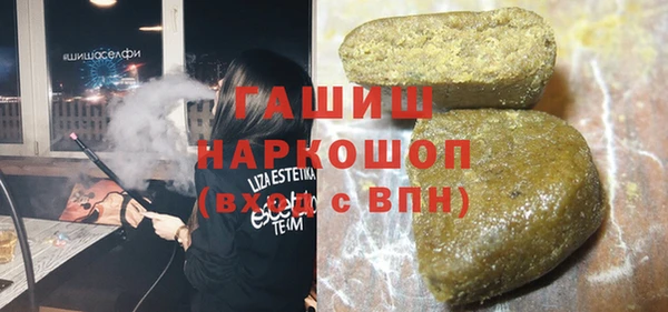 гашик Краснослободск