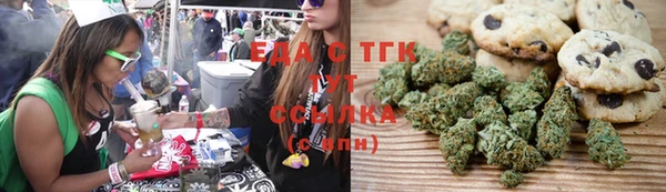 гашик Краснослободск