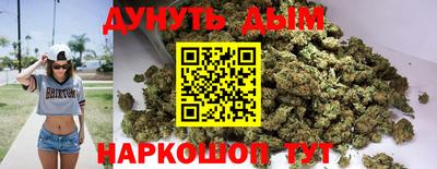 скорость Дубна