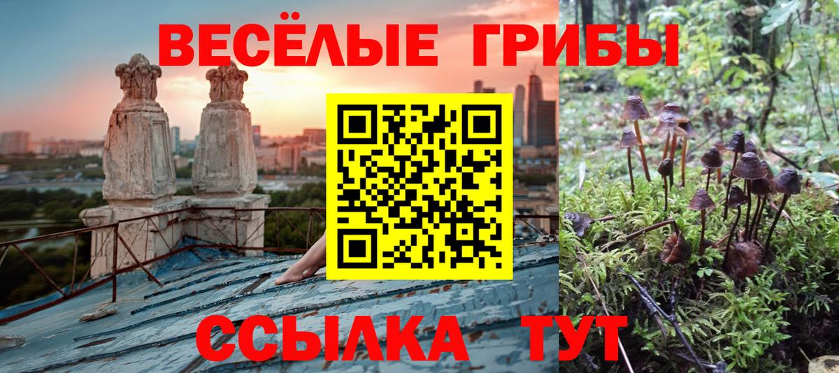 Галлюциногенные грибы мицелий Нефтеюганск