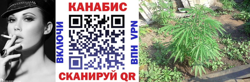 Бошки Шишки индика  Нефтеюганск 